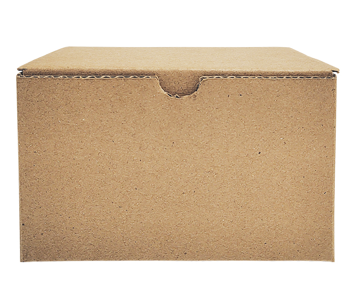 CAJA No. 3